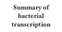 Summary of bacterial transcription