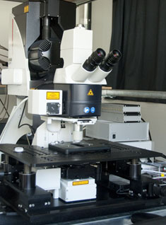 2-photon microscope