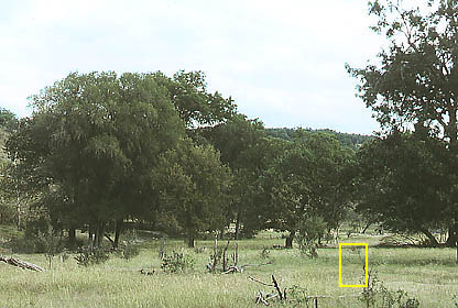 Open Ranchland 1977