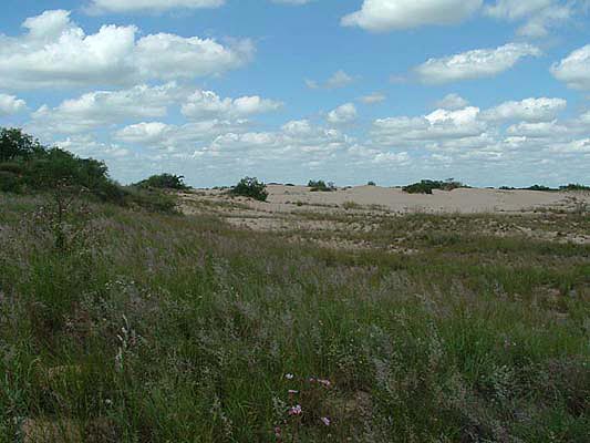Dunes