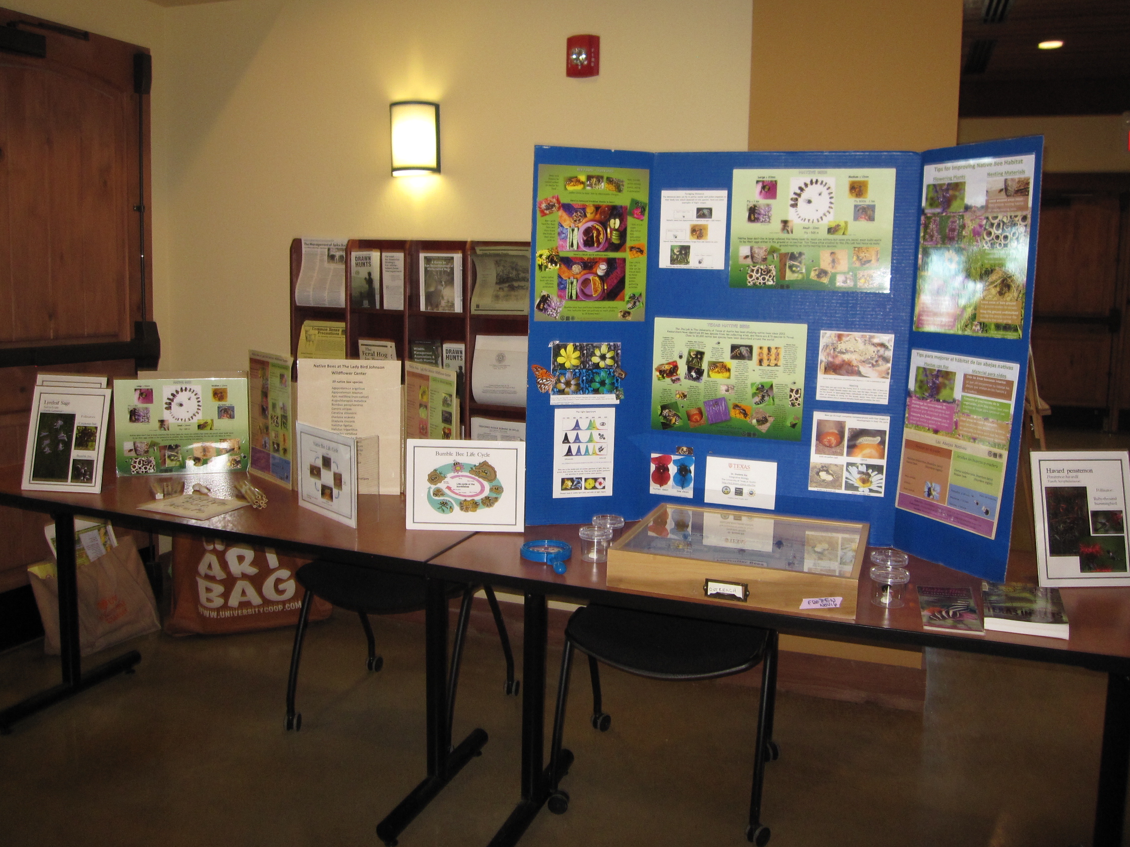 TPWD Pollinator Workshop – native bee display – Laurel Trevino | The ...